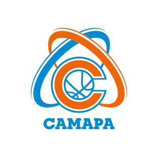 萨马拉女篮logo