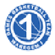 DS瓦勒海姆女篮logo