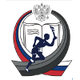 彼尔姆大学女篮logo