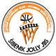 斯比尼卡女篮logo