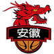 安徽皖江龙logo