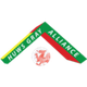 威冠联直播